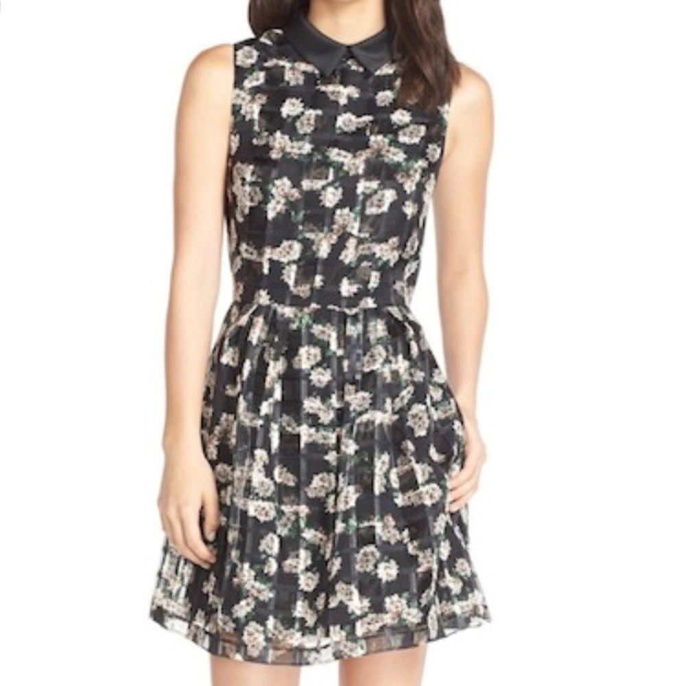 ERIN Erin Fetherston ‘Cara’ Organza Fit&Flare